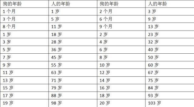 狗狗与人年龄换算表，终于知道狗狗多大了！