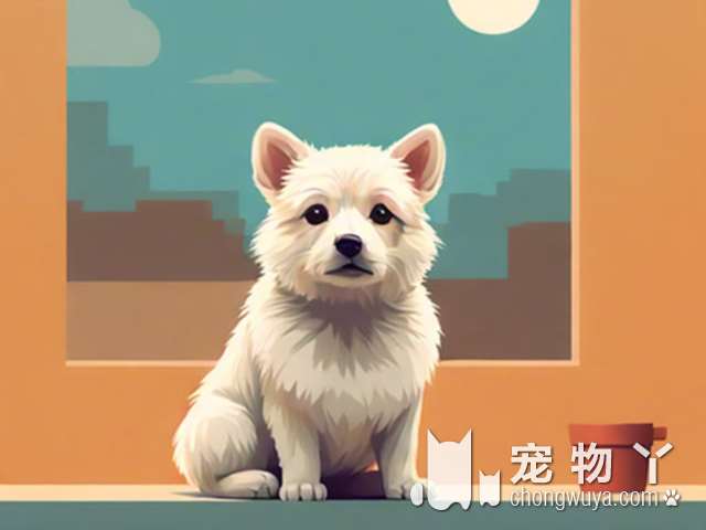 银狐犬为什么耳朵黄色？